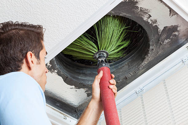 Best Professional Duct Cleaning Services  in Hoopeston, IL